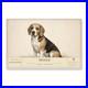 Beagle_Dog_Breed_Wall_Art_Aluminum_Sign_01_rqwf