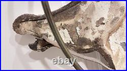 Curtis Jere Vintage Heavy Metal Carousel Horse Weathered Signed Origin. Tag 1987