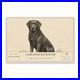 Labrador_Retriever_Dog_Breed_Wall_Art_Aluminum_Sign_01_aw