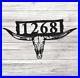 Metal_Address_Sign_Longhorn_Metal_Address_Plaque_for_House_House_Numbers_01_ppdx