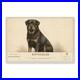 Rottweiler_Dog_Breed_Wall_Art_Aluminum_Sign_01_lr