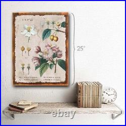 Vintage Flower Encyclopedia, Crabapple Metal Sign Decor for Porch and Patio