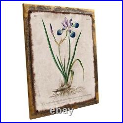 Vintage Flower Encyclopedia, Iris Metal Sign Decor for Porch, Patio, or Deck
