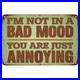 Vintage_Metal_Sign_Aluminum_Sign_Im_Not_In_Bad_Mood_Youre_Just_Rustic_01_cdqn